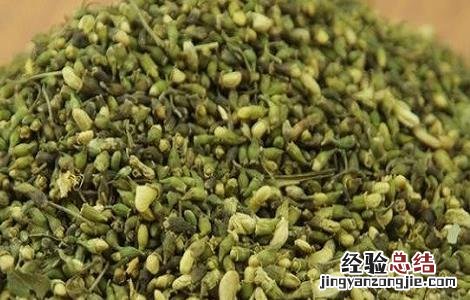 槐米泡水的功效与副作用 槐米泡水的功效与副作用禁忌