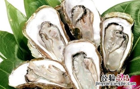 生蚝的功用与禁忌 生蚝的功效与禁忌