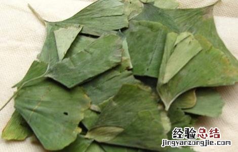 银杏叶片泡水喝的功效与副作用是什么 银杏叶片泡水喝的功效与副作用