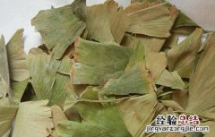 银杏叶片泡水喝的功效与副作用是什么 银杏叶片泡水喝的功效与副作用