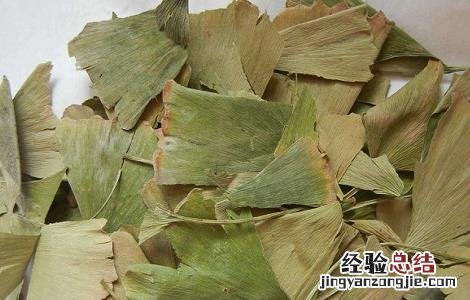 银杏叶片泡水喝的功效与副作用是什么 银杏叶片泡水喝的功效与副作用