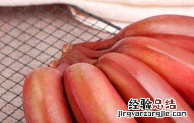红皮香蕉的作用与功效禁忌 红皮香蕉的作用与功效