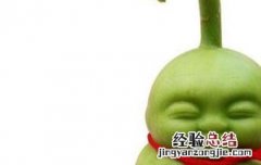 福娃人参果怎么吃图解视频 福娃人参果怎么吃图解