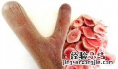 鹿茸作用 鹿茸作用和功效与禁忌