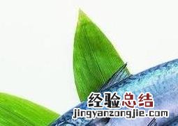 鲅鱼不能和什么一起吃 鲅鱼跟什么不能一起吃