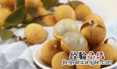 吃新鲜桂圆的禁忌 桂圆禁忌食物