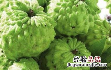 番荔枝哪些人不能吃 番荔枝什么人不能吃