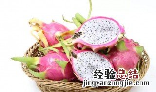 白芯火龙果的功效与作用 白芯火龙果的功效与作用及禁忌