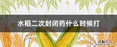 水稻打封闭药多久下雨不要紧 水稻二次封闭药什么时候打