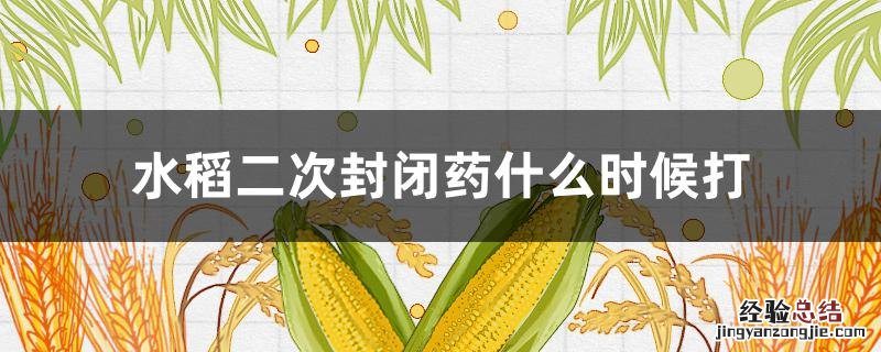 水稻打封闭药多久下雨不要紧 水稻二次封闭药什么时候打