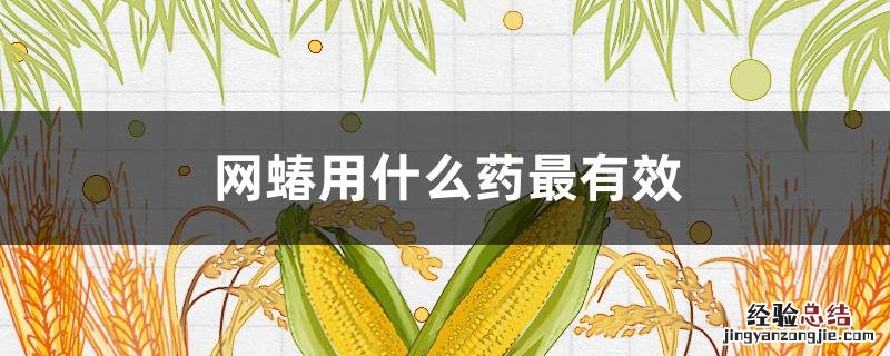 网蝽用什么药最有效 盲蝽蟓用什么药效果好