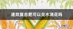 速效复合肥可以兑水浇兰花吗 速效复合肥可以兑水浇花吗