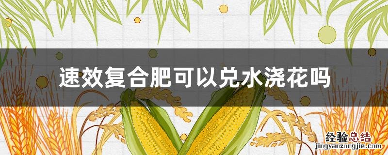 速效复合肥可以兑水浇兰花吗 速效复合肥可以兑水浇花吗