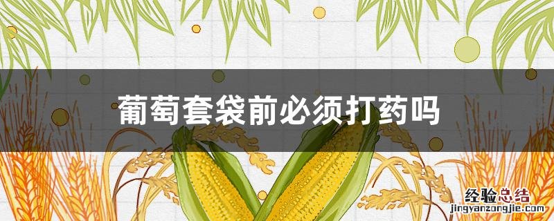 葡萄套袋前必须打药吗? 葡萄套袋前必须打药吗