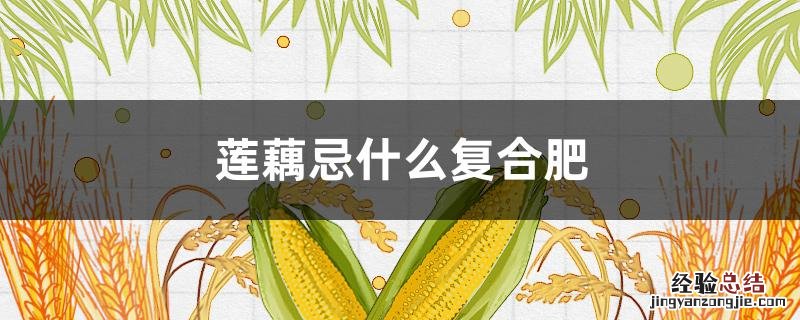 莲藕施什么复合肥最好 莲藕忌什么复合肥