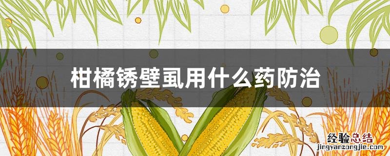 柑橘锈壁虱用什么药防治 锈壁虱危害柑橘果实症状