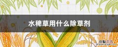 水稗草用什么除草剂 秧田稗草用什么除草剂