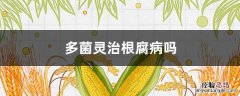 多菌灵可以治疗茎腐病吗 多菌灵治根腐病吗