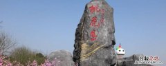 桃花岛是现在的哪个地方 桃花岛有几个