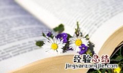 排遣是什么意思 排遣是什么意思解释