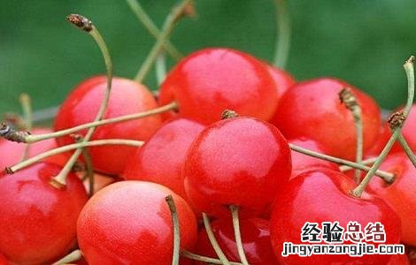 小樱桃核功效与作用 樱桃核的功效与作用
