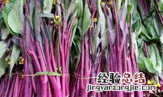 紫色的蔬菜 紫色的蔬菜有哪些