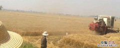 田假一般在什么时候 田假是什么意思