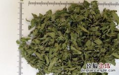 罗布麻叶泡水喝的功效与作用 罗布麻叶泡水喝有什么功效