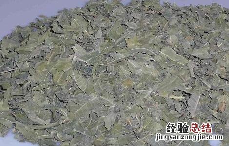 罗布麻叶泡水喝的功效与作用 罗布麻叶泡水喝有什么功效