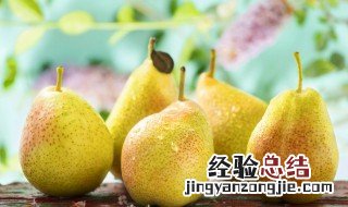 梨怎么做止咳效果最好 梨怎么做止咳效果最好吃