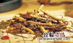 雪域草的功效与作用 雪域神草的功效