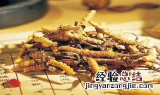雪域草的功效与作用 雪域神草的功效