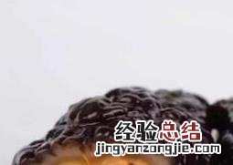 红极参的功效与作用是什么 红极参的功效与作用