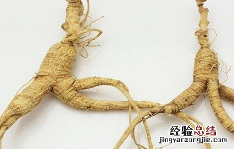 林下参的功效与作用是什么 林下参的功效与作用