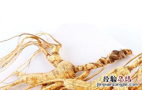 林下参的功效与作用是什么 林下参的功效与作用