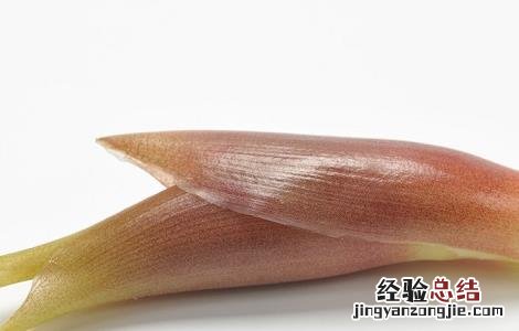野姜的功效与作用男人可以吃吗 野姜的功效与作用