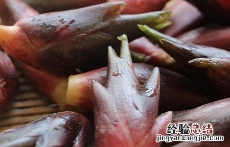 野姜的功效与作用男人可以吃吗 野姜的功效与作用