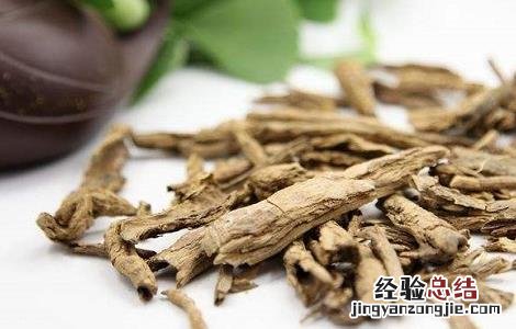 地骨皮的功效与作用 地骨皮的功效与作用的功能与主治与用量