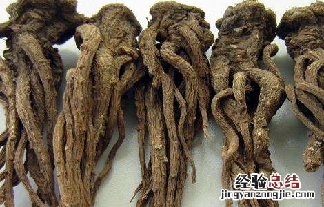 当归泡酒的配方及功效与作用 当归泡酒的配方及功效