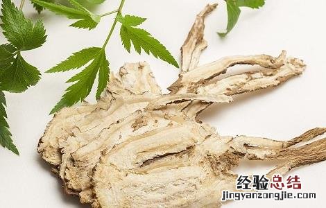 当归泡酒的配方及功效与作用 当归泡酒的配方及功效