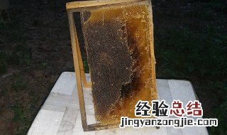 蜜蜂巢泡酒的作用与功效 蜜蜂巢泡酒的作用与功效有哪些
