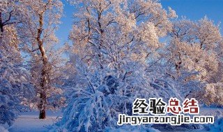 一年级描写冬天的句子短句 描写冬意境唯美的句子