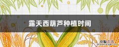 露天西葫芦种植时间 露天种植西葫芦的时间