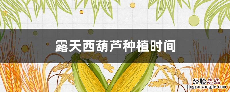 露天西葫芦种植时间 露天种植西葫芦的时间