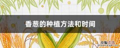 阳台小香葱的种植方法和时间 香葱的种植方法和时间