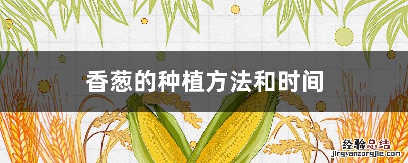 阳台小香葱的种植方法和时间 香葱的种植方法和时间