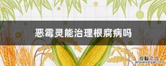 恶霉灵能治理根腐病吗 恶霉灵治疗根腐病吗