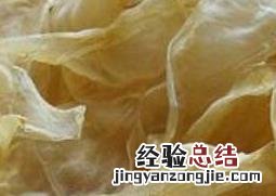 蜘蛛公鱼胶是什么鱼 蜘蛛公鱼胶的功效与作用