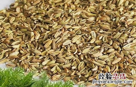 小茴香的功效与作用 大茴香的功效与作用