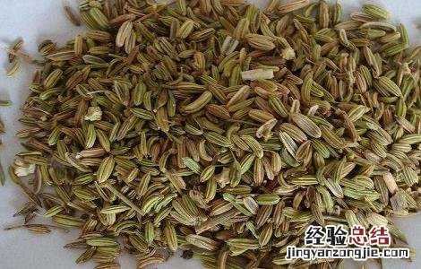 小茴香的功效与作用 大茴香的功效与作用